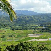 The agricultural area